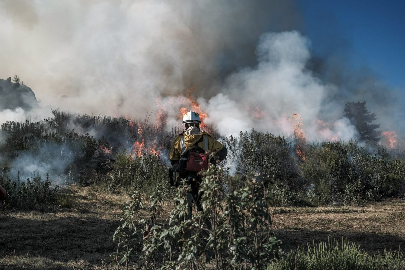 Sapeur-pompier de dos devant un front de flammes dans la végétation basse, sous une large colonne de fumée