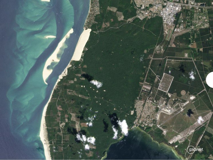 La Teste-de-Buch forest (Gironde) before the July 2022 wildfire, Planet Labs satellite imagery