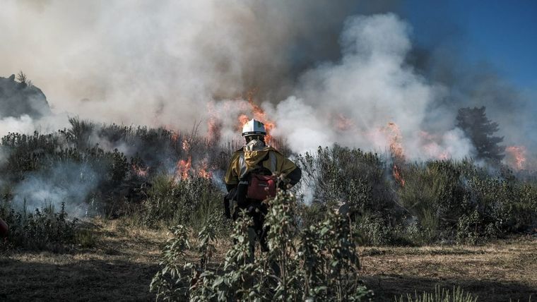 Feux de forêt : 98 000 hectares brûlés en 2026, et l'hiver pour débroussailler